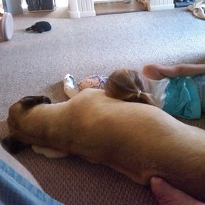 Meet your Posher, Buggy